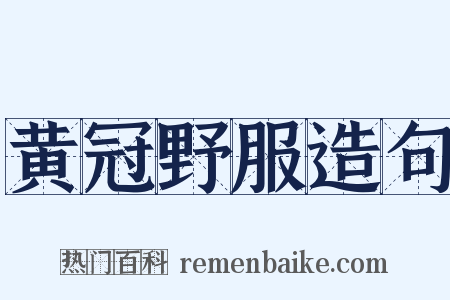 黄冠野服造句是什么意思的图片